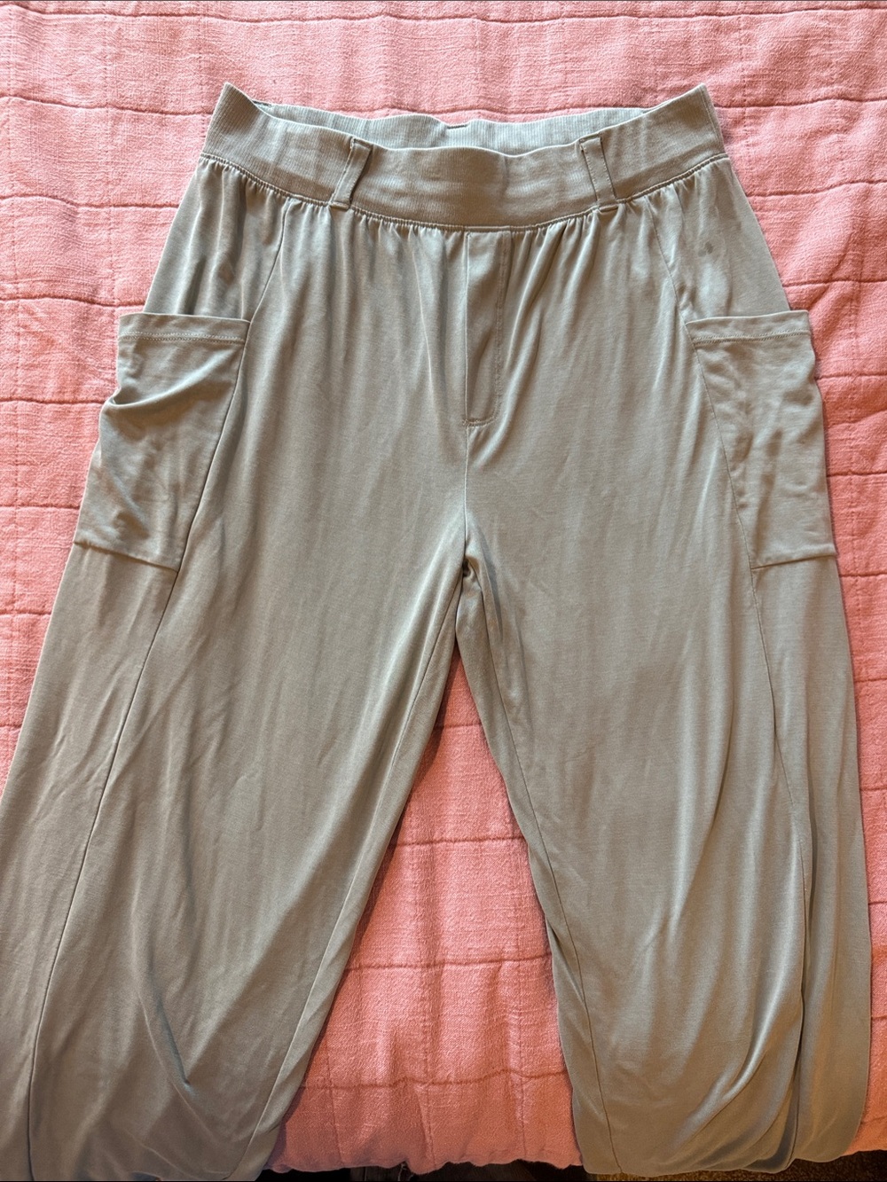 aerie Wide-Leg Cargo Pocket Pants in Sage Green